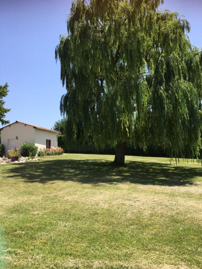 Domaine De La Vigne Bed and Breakfast Cadalen Exterior foto