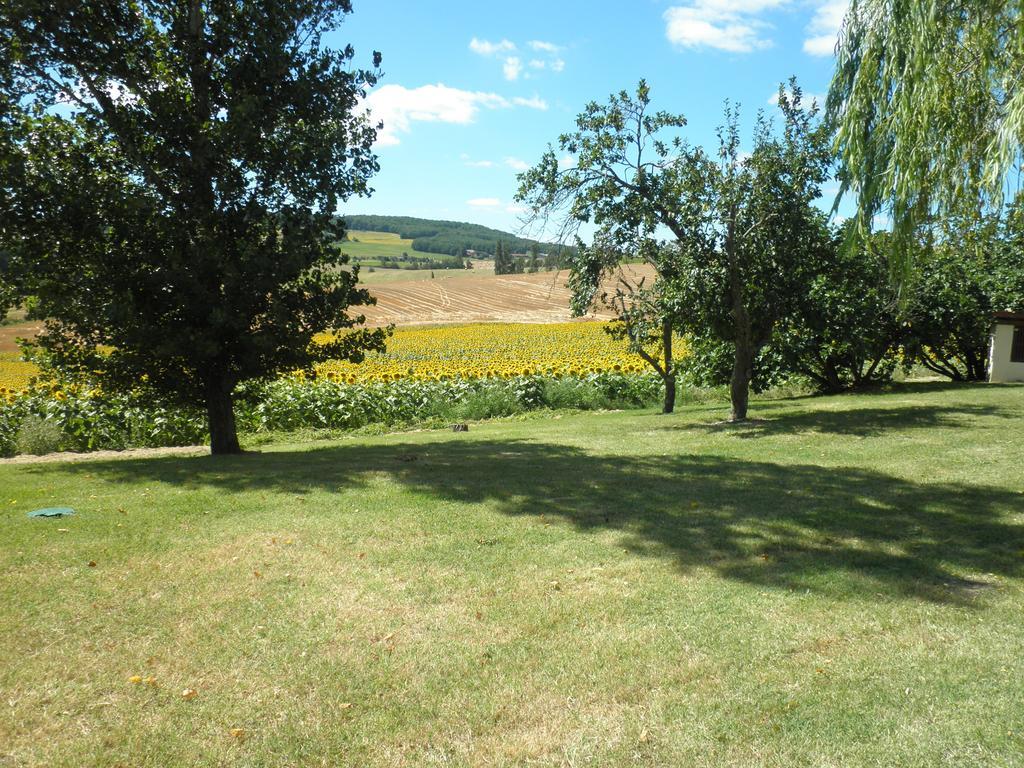 Domaine De La Vigne Bed and Breakfast Cadalen Exterior foto