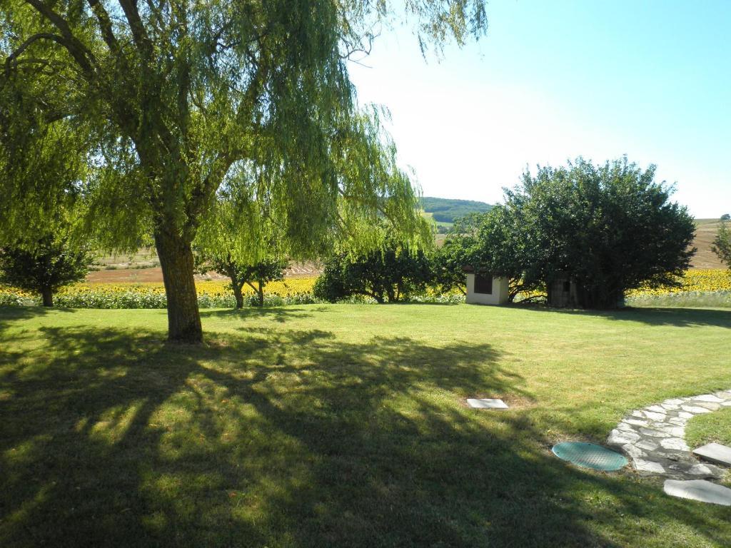 Domaine De La Vigne Bed and Breakfast Cadalen Exterior foto